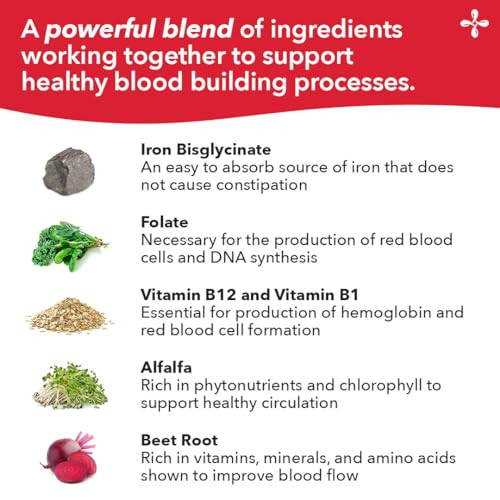 LifeSeasons Blood Nourish-R - Iron Deficiency Supplement - Supports ...