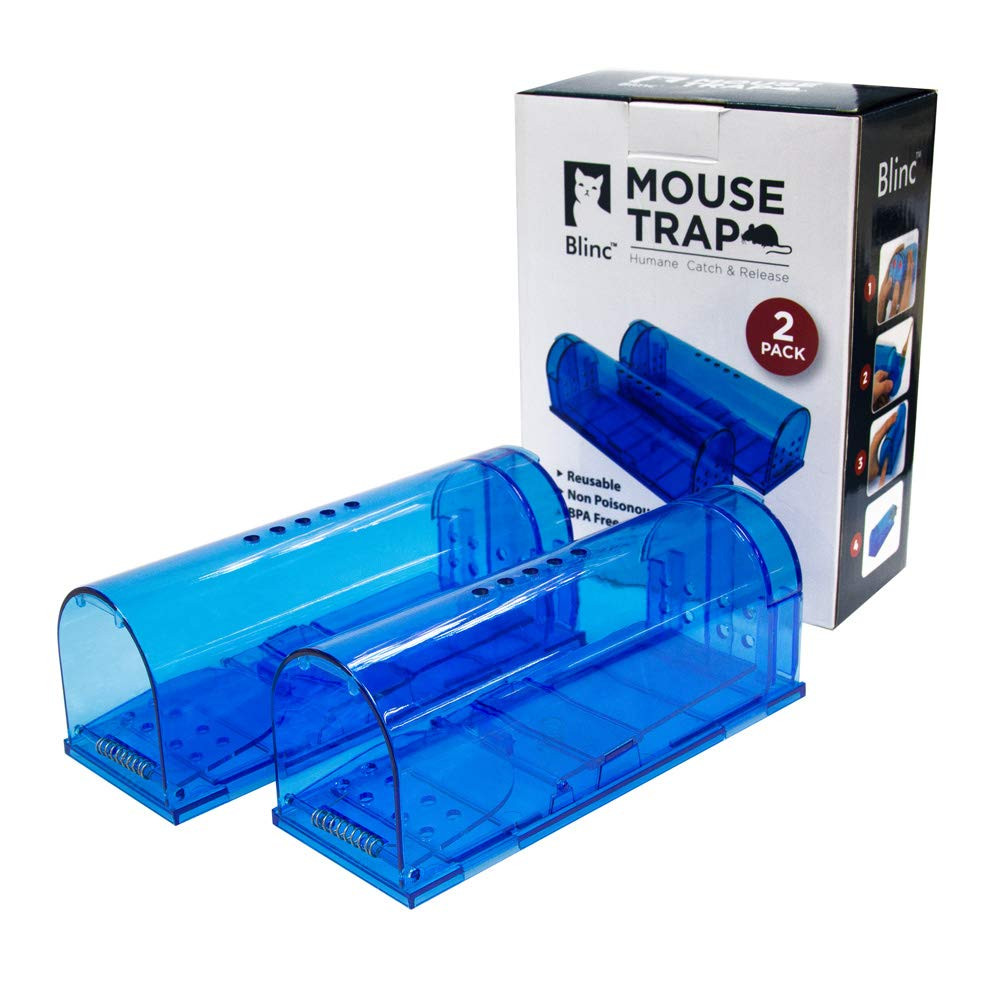 Humane Mouse Trap | Catch and Release Mouse Traps That Work | Mice Trap ...