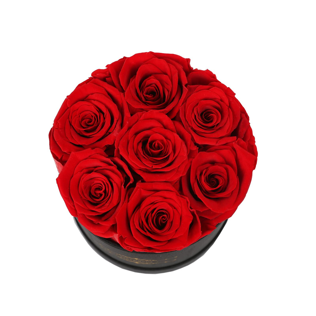 Natroses Roses NATROSES 7 Piece Preserved Roses in a Box, Preserved Flowers for ...