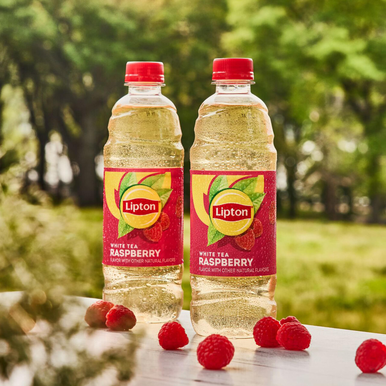 Lipton Raspberry 7 Lipton Raspberry White Tea, 16.9 Fl Oz Bottles (Pack of 12)