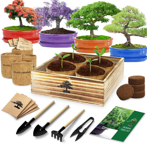 Bonsai Tree Kit, Bonsai Starter Kit with 4 Types of Seeds, Tools & Planters, Bonsai Tree Live Plants Indoor, Gardening Gifts for Women Men Mom Father Plant Lover, Unique