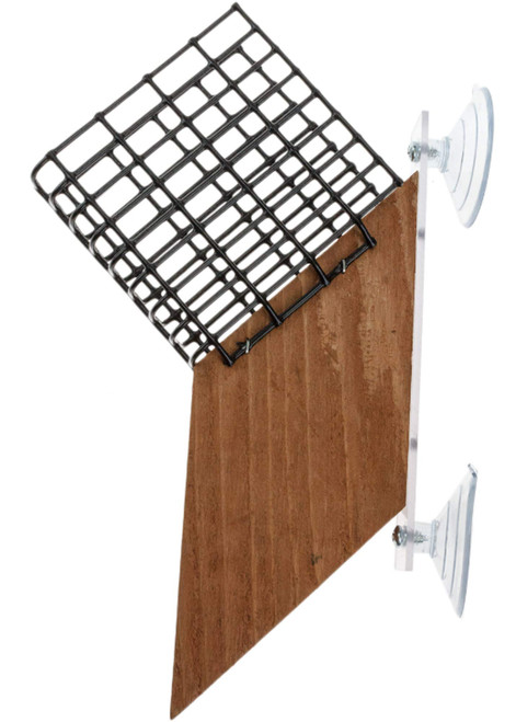 Songbird Essentials SE539 Suet Window Feeder (Set of 1)