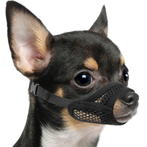 Mayerzon Mesh Muzzle for Short Snout and Small Dogs Anti-Biting, Focus on Brachycephalic Dogs like Chihuahua Yorkshire Maltese, Breathable Fabric, Opening Front, Allow Panting, for Grooming Vet Visits