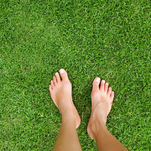 Grounding Mat- All Natural- Real Grass Pad for Health and Wellness- 24 x 20in (Real Grass Grounding Mat with Reusable Tray)