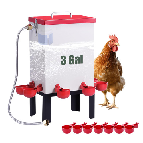 3 Gallon Chicken Waterer,Stainless Steels Automatic Chicken Waterer Feeder with Float Valve,Water Cups, Bottom Bracket and Hose (One End 3/4") Poultry Waterer Dispenser for Quail Duck Goose Turkeys