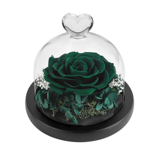 DuHouse Forever Roses Preserved Real Flowers Eternal Enchanted Rose Flower Box for Valentines Gifts Birthday Anniversary Christmas (Dark Green)