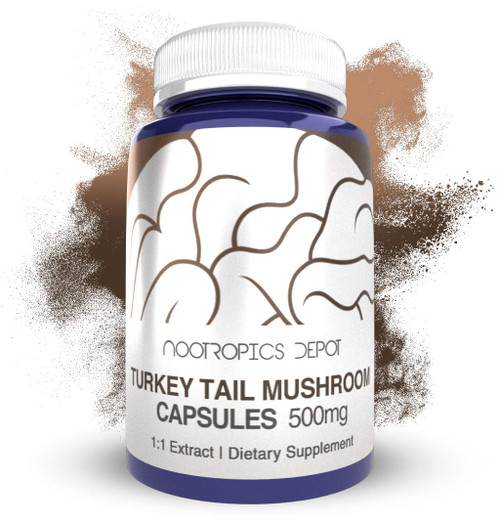 Nootropics Depot Turkey Tail Mushroom Capsules | 500mg | 60 Count | Trametes versicolor