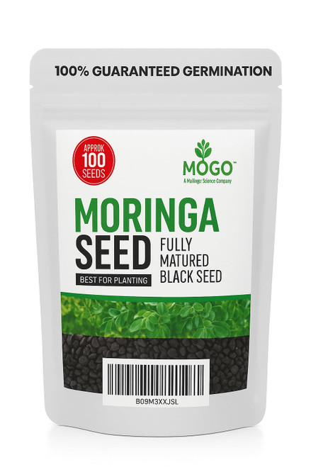 100 Moringa Seeds Approx | Moringa Seeds for Planting | Edible, Excellent Germination | Premium Grade PKM1 | Semillas de Moringaa Seed for Eating | Malunggay
