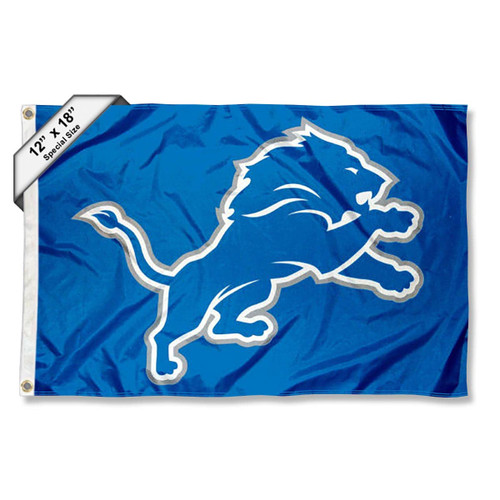 Detroit Lions Boat and Golf Cart Pennant Flag