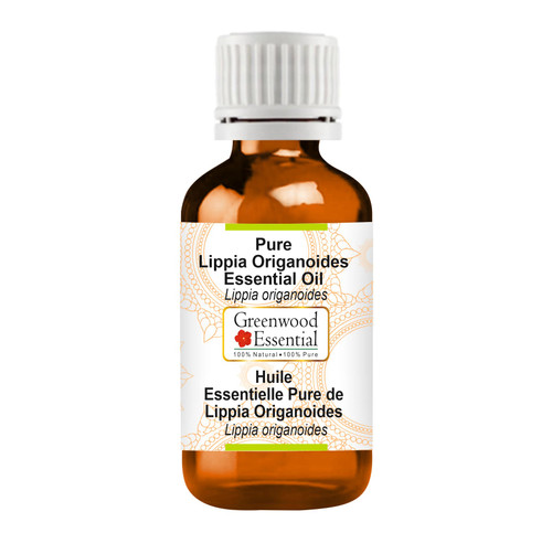 Greenwood Essential Pure Lippia Origanoides Essential Oil (Lippia origanoides) Steam Distilled 5ml (0.16 oz)