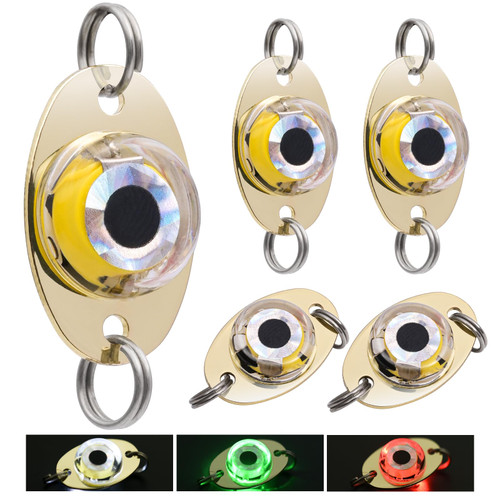 DUNKTEAM LED Underwater Fishing Lures，LED Lighted Bait Flasher，Deep Drop Fishing Lures，Fish Eye Attractive Light Bait Lure Lamp 5PCS