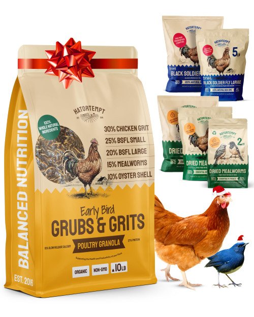 Hatortempt Chicken Feed Granules - 10 lb, Non-GMO - Protein-Rich Meal Worms & Black Soldier Fly Larvae & Oyster Shell Grubs Mix - Calcium Grit & Treats for Chickens - Egg Layer Feed