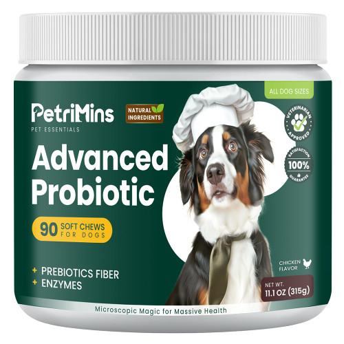PetriMins Advanced Probiotic for Dogs, Supports Digestive Health, Immune Health, Gut Health, Improves Nutrient Absorption - Six Strains of Probiotics - Inulin - Enzyme Blend, 90-Count, Chicken