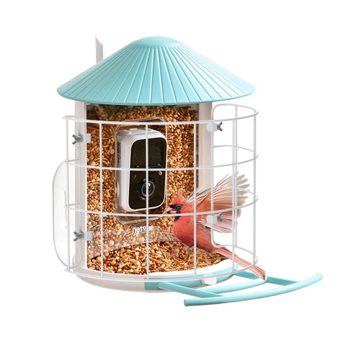 NETVUE by Birdfy Shield, Keep Out Birds' Predators, Must-Have Feeder Accessories - Only Work with NETVUE Birdfy Bird Feeder 1