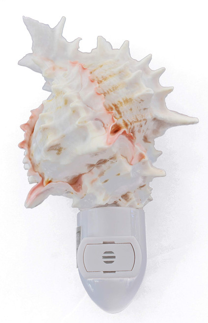 Florida Shells and Gifts Inc. Seashell Night Light Real Pink Murex Shell Beach Decor w. Light Sensor Beautiful Coastal Cottage