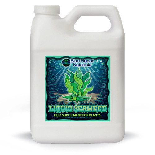 Liquid Kelp Seaweed Fertilizer Concentrate - Blue Planet Nutrients Ascophyllum Nodosum Liquid Seaweed Supplement - Makes 470 Gallons - Quart (32 oz)