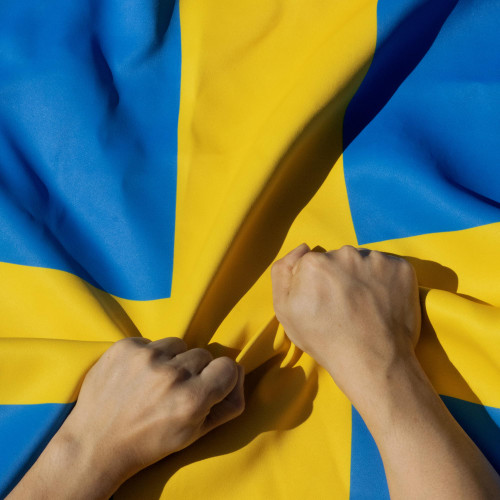 Anley Rip-Proof Double Sided 3-Ply Sweden Flag 3x5 Foot - Vivid Color, Canvas Header and Wrinkle Resistant - The Strongest, Longest Lasting Swedish National Flags 3 X 5 Ft