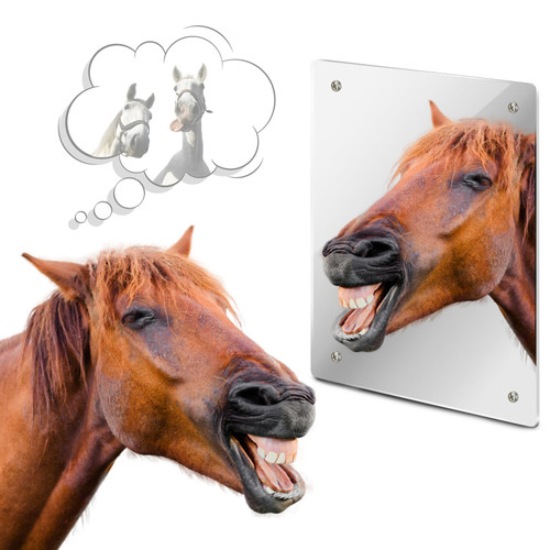 Sukh Acrylic Horse Mirror - Safe Stall Mirrors Sheet Horse Toy Hanging Pony Calming Non Glass Shatterproof Horse Toys for Stable Barn Stall Toy Entertainment (16.92 x 12.99 Inch)