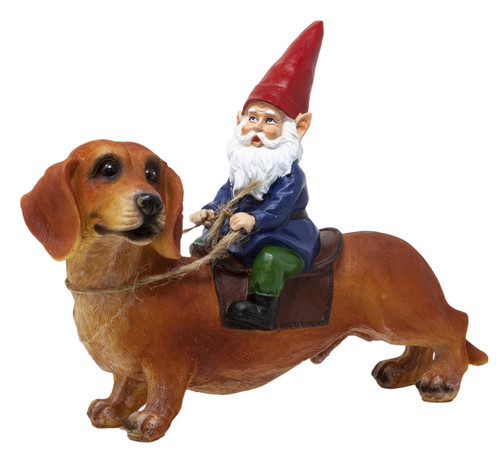 Funny Guy Mugs Gnome and a Dachshund Garden Statue- Indoor/Outdoor Garden Dog Gnome Sculpture for Patio, Yard or Lawn