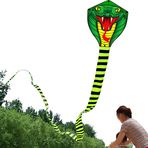 HENGDA KITE for Kids 26.2Ft Large Power Cobra Snake Kites with Flying Line Outdoor Fun Sports Kite