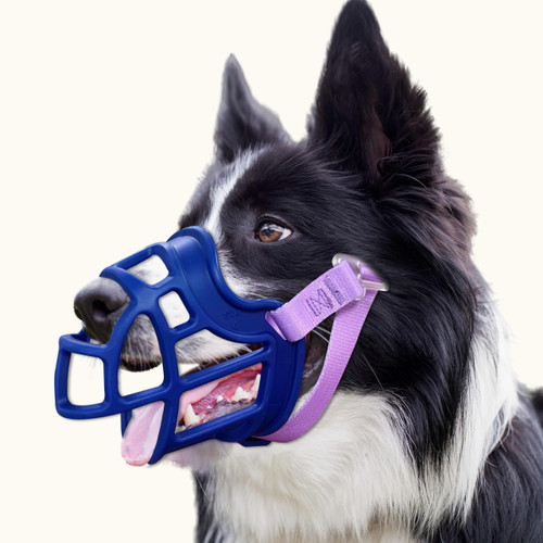 OKKIC Basket Muzzle Allows Panting Drinking - Anti Biting Chewing, Suitable for Grooming Trimming Training, for Small Medium Large Dogs (Blue, Size 6)