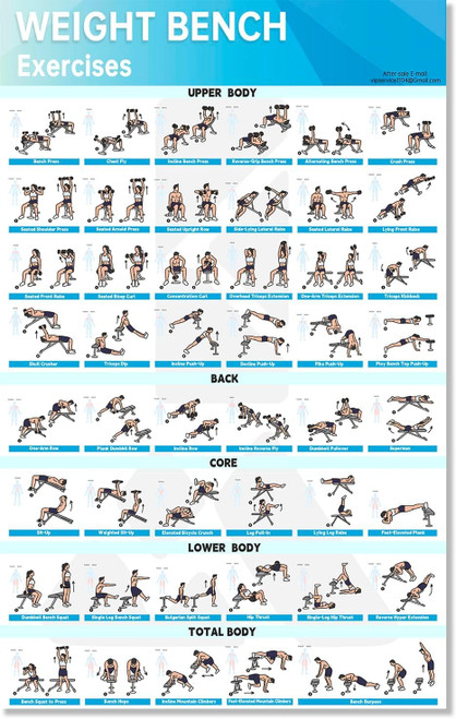 MCNBLK Fitness Bench Poster - Adjustable Benches Body Building Guide-LAMINATED, 17" x 27"