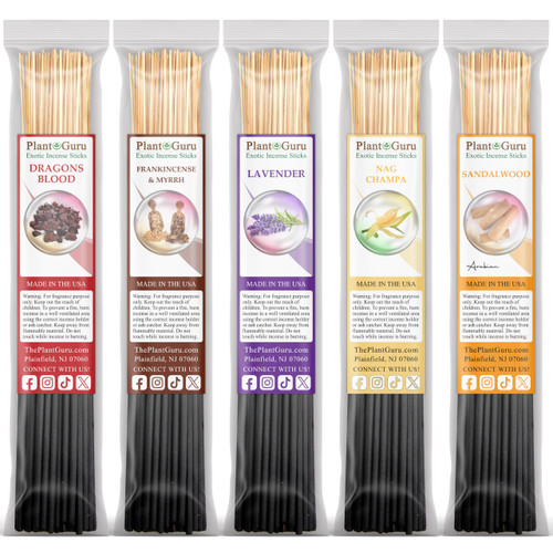 Top 5 Incense Sticks Variety Set Bulk 500 Pack - 11" Sticks, 5 Bundles of 100 Sticks Per Bundle - Dragons Blood, Frankincense and Myrrh, Lavender, Nag Champa, and Sandalwood.