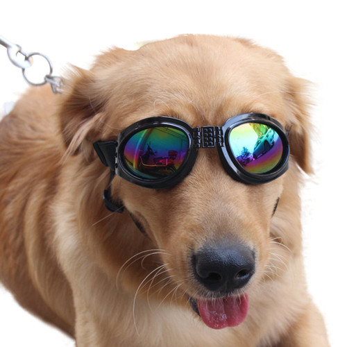 NACOCO Pet Glasses Dog Sunglasses Dog Glasses Golden Retriever Samoyed Sunglasses Goggles Big Dog Sunglasses (Black)