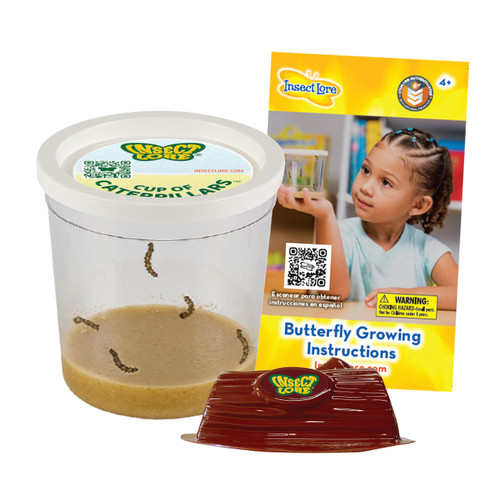 Insect Lore Cup of Caterpillars - 5 Live Painted Lady Caterpillars with Food - Refill for Butterfly Garden Kit - Chrys-A-Lid Holding Log Included - STEM Learning Activity