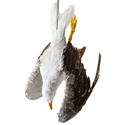 Dead Seagull Bird Deterrent Scares Away Gulls - Bird Decoy for Boats, Marinas & Docks-1769280573
