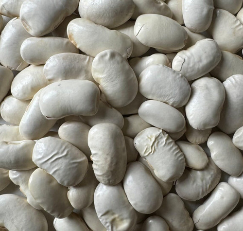 Greek Gigante Bean Fasolia Gigantes Plaki Heirloom Seeds for Planting Packet