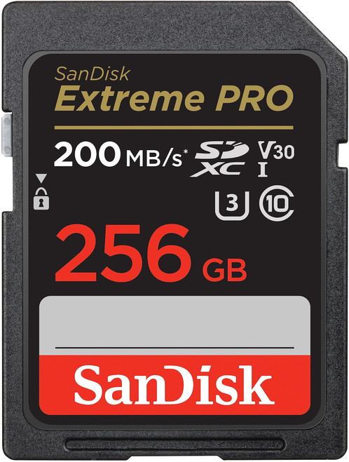 SanDisk 256GB Extreme PRO SDXC UHS-I Memory Card - C10, U3, V30, 4K UHD, SD Card - SDSDXXD-256G-GN4IN, Dark gray/Black