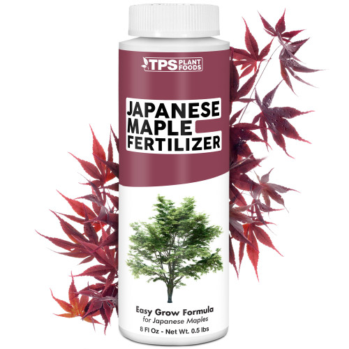 Japanese Maple Fertilizer, Complete Liquid Plant Food for All Japanese Maple Tree Varietals, 8 oz (250mL) Japanese Maple Fertilizer, Complete Liquid Plant Food for All Japanese Maple Tree Varietals, 8 oz (250mL)