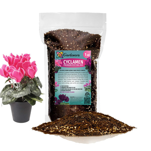 GARDENERA Premium Potting Soil Blend for Cyclamen - The Ultimate Mix for Healthy, Vibrant, and Beautiful Flowers - 1 QUARTS GARDENERA Premium Potting Soil Blend for Cyclamen - The Ultimate Mix for Healthy, Vibrant, and Beautiful Flowers - 1 QUARTS