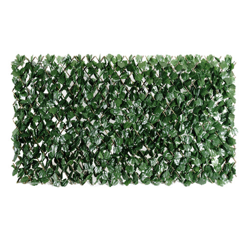 ColourTree Artificial Ivy Expandable Fence Privacy Screen, Retractable Hedge, Faux Trellis for Balcony, Patio, Outdoor & Home Decorations - 3 Years Warranty (Double-Side Leaves, 1 Pack) ColourTree Artificial Ivy Expandable Fence Privacy Screen, Retractable Hedge, Faux Trellis for Balcony, Patio, Outdoor & Home Decorations - 3 Years Warranty (Double-Side Leaves, 1 Pack)