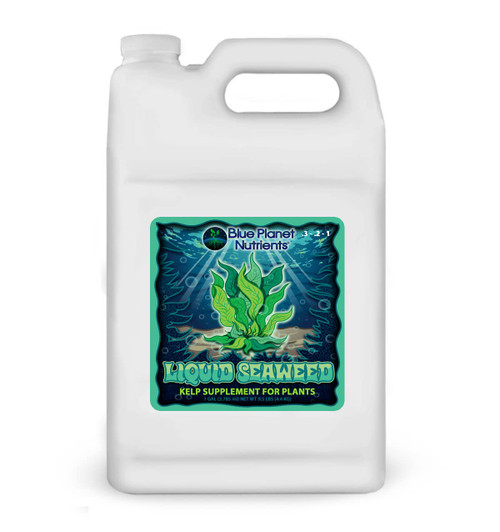 Liquid Kelp Seaweed Fertilizer Concentrate (Gallon) - Blue Planet Nutrients Ascophyllum Nodosum Liquid Seaweed Supplement - Makes 1,600+ Gallons - Organic Kelp for All Plants & Gardens