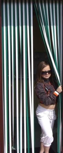 Holland Plastics Original Brand Slat Type Door Curtain Bug Fly Strip Blind 'Green & White'