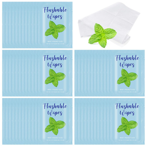 Timgle 50 Count Individually Wrapped Wet Wipes - Flushable, Pocket Size Travel Wipes for Bathroom, Adults, Women, Men - Alcohol Free (Mint)