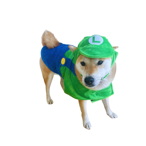 ComfyCamper Hat and Suspenders Dog Costume - X Large Medium Small Lab Star Space Cosplay Halloween Costumes, Large, Green