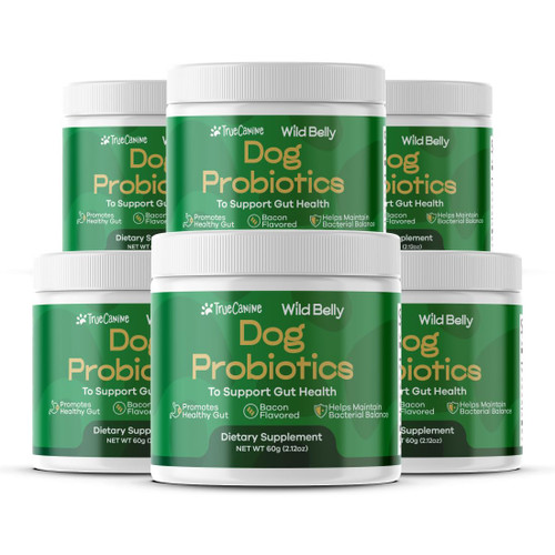 Dog Probiotics for Digestive Health - Probiotic for Dogs Gut Health & Allergy Relief - Probiotics for Dogs - Yeast, Itchy Skin and Itchy Ears - Powder Chews Alternative - TrueCanine Wild Belly, 6pack Dog Probiotics for Digestive Health - Probiotic for Dogs Gut Health & Allergy Relief - Probiotics for Dogs - Yeast, Itchy Skin and Itchy Ears - Powder Chews Alternative - TrueCanine Wild Belly, 6pack