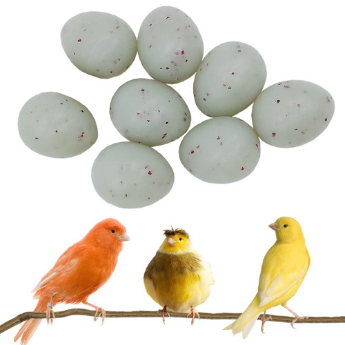 FOIBURELY Canary Fake Eggs Stop Laying, 8 Solid Plastic Fake Eggs. 15mm x 19mm Speckled Blue-Green Plastic, Not Painted