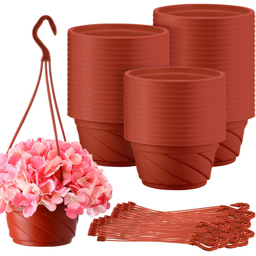 Tioncy 50 Pcs Plastic Hanging Planter Round Hanging Pot for Plants Containers with Hook Flower Plant Pots Holders for Outdoor Indoor Plant Balcony Garden Decor(Coffee) Tioncy 50 Pcs Plastic Hanging Planter Round Hanging Pot for Plants Containers with Hook Flower Plant Pots Holders for Outdoor Indoor Plant Balcony Garden Decor(Coffee)