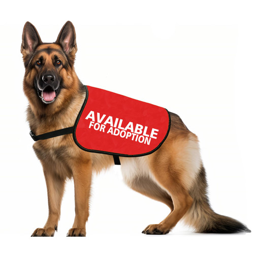 JXGZSO Adopted Dog Available for Adoption Dog Jacket Vest Adopt Dog Jacket Vest New Puppy Dog (Adoption L)