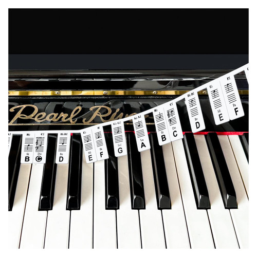 Removable Piano Keyboard Note Labels, Silicone Piano Notes Stickers Guide for Beginner, Reusable 88 Key Full Size Piano Key Music Notes Letter Label