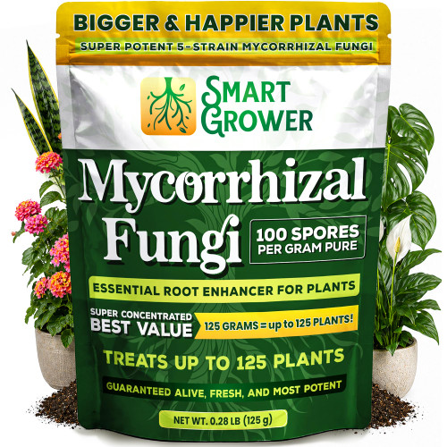 Mycorrhizal Fungi Organic Root Enhancer for Plants, Super Potent 100 Spores Per Gram, 5-Strain Blend, Rapid Results for Gardens, Houseplants, Lawns, Mycorrhizae Smart Grower 125 Grams for 125 Plants