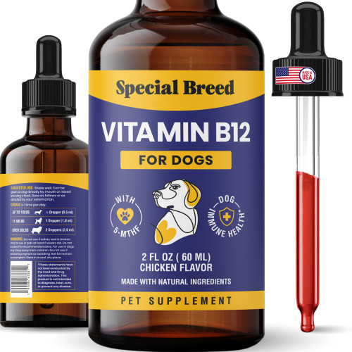 Special Breed Liquid Vitamin B12 for Dogs – Methylcobalamin and 5-MTHF – Boosts Energy, Appetite, Mood & Immune System Support, Easy-to-Use Dropper - Chicken Flavor, 2 fl oz