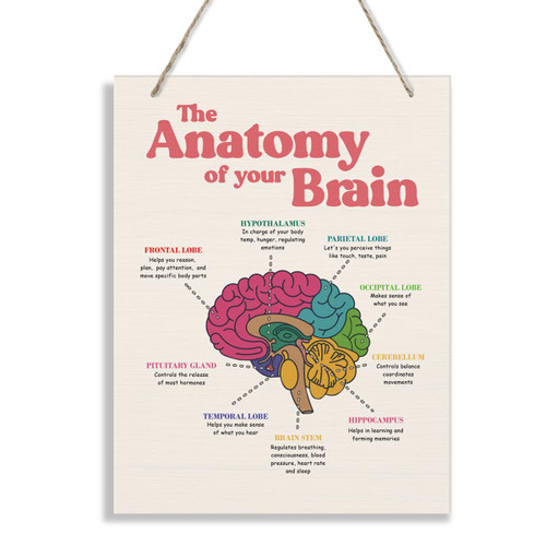 JXZOLQ Brain Anatomy Wood Sign, 10*7.9 inches, Modern Art Decor, Hanging Sign for Home, Office, Classroom & Counseling Room