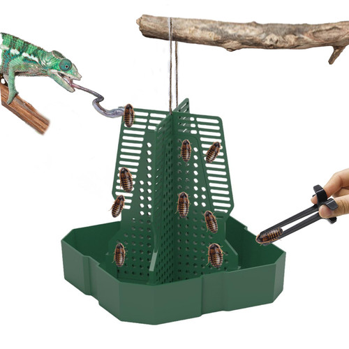 JWIZYOTR Chameleon Feeder Bearded Dragon Feeder for Mounted Insect with Rope and Tweezers, Tank and Aquarium Accessories for Lizard, Bearded Dragon, Gecko, Frog（Large）