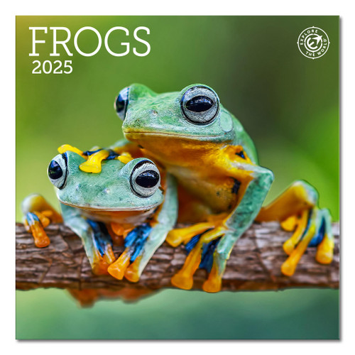 Frogs Mini Wall Calendar 2025, 7" x 7" Frogs Mini Wall Calendar 2025, 7" x 7"