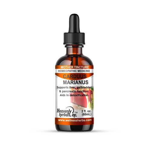 Heavenly Herbals, Inc. Carduus Marianus Q - Homeopathic Tincture - Supports Liver, Gallbladder & Pancreatic Function. Aids in Detoxification. 2.0 Fl Oz - Manufactured and Shipped from USA> Heavenly Herbals, Inc. Carduus Marianus Q - Homeopathic Tincture - Supports Liver, Gallbladder & Pancreatic Function. Aids in Detoxification. 2.0 Fl Oz - Manufactured and Shipped from USA>